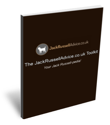 Photo of the Jack Russell Terrier ebook